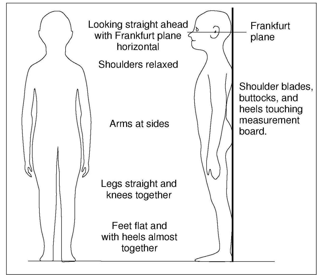 Frankfurt plane head alignment diagram