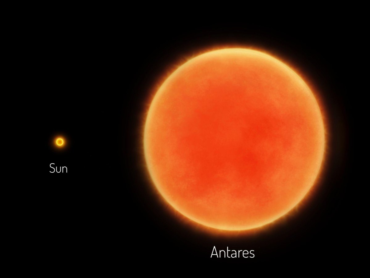 Antares red supergiant comparison