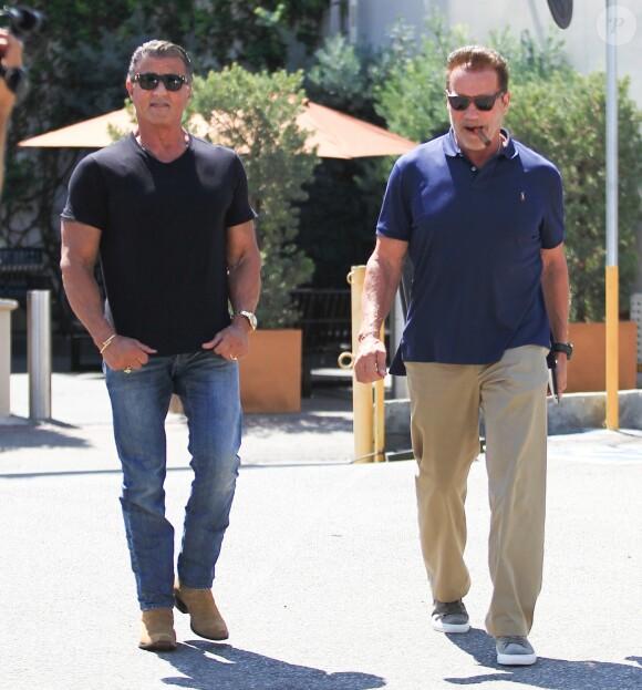 Arnold Schwarzenegger and Stallone