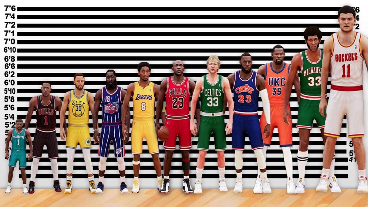 Basketball players height comparison chart