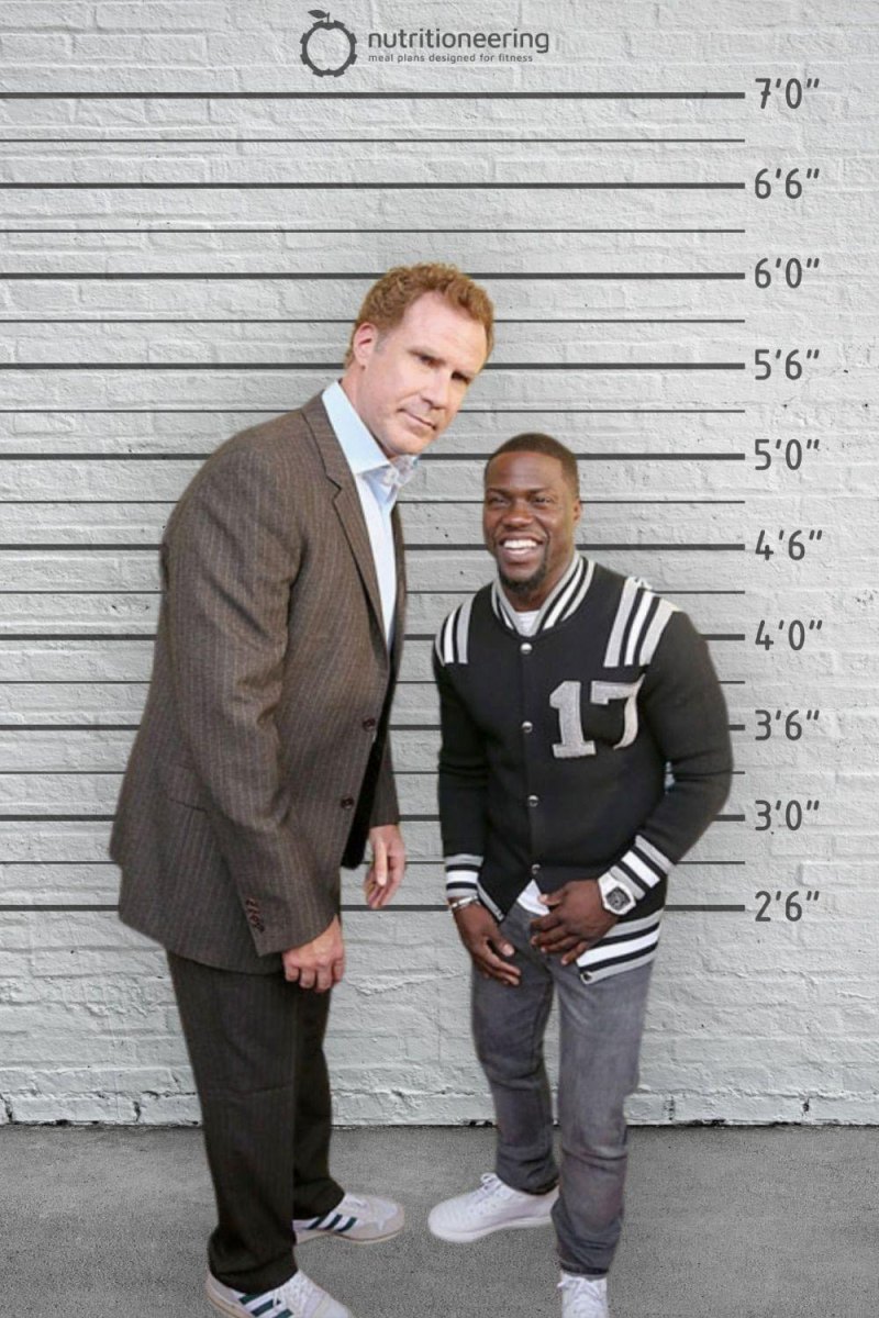 Comedians television personalities comparison