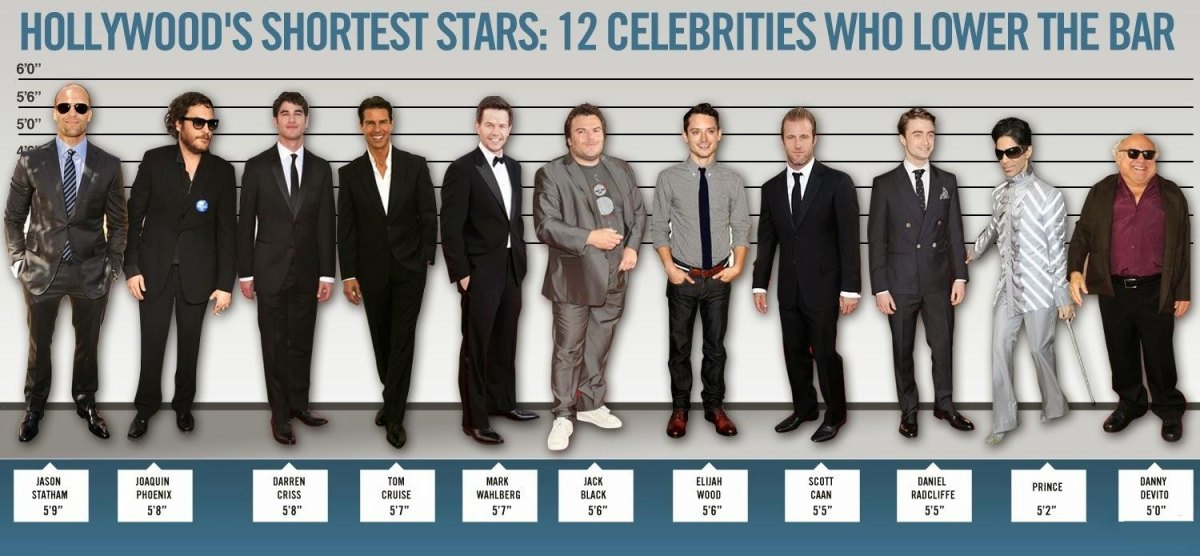 Celebrity height comparison chart