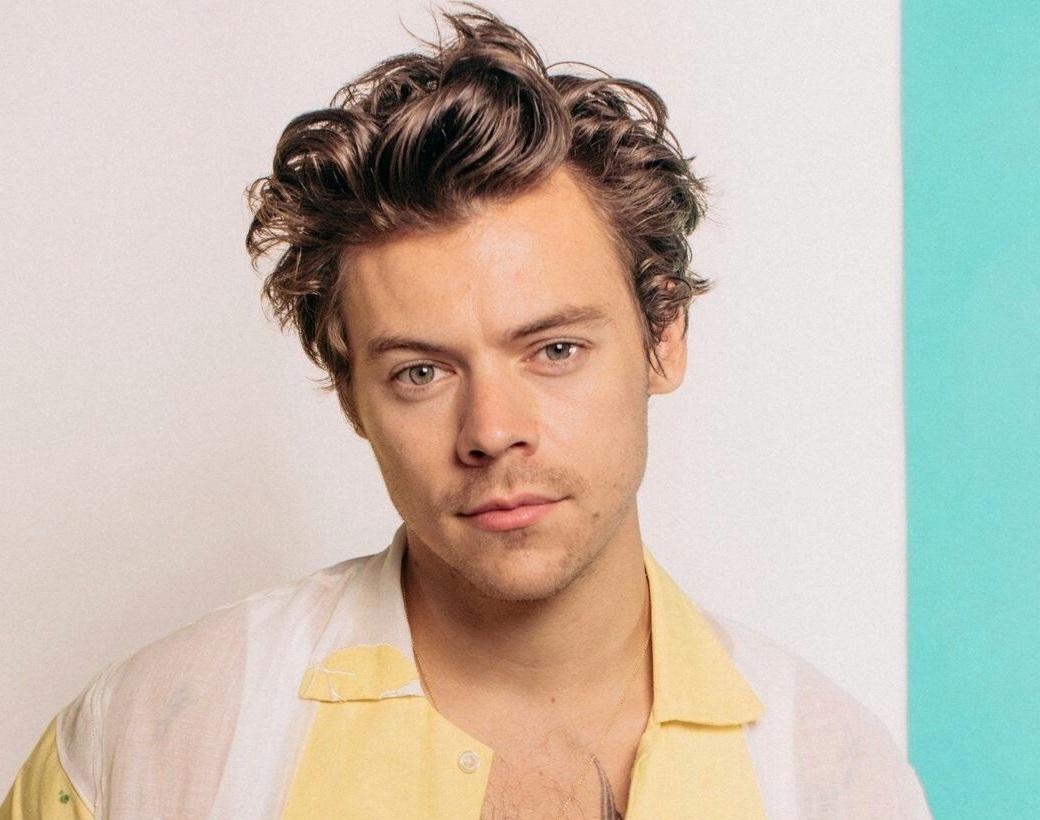 Harry Styles portrait