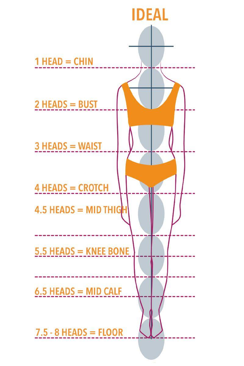 Fashion model height head ratio