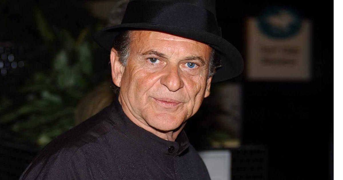 Joe Pesci actor portrait