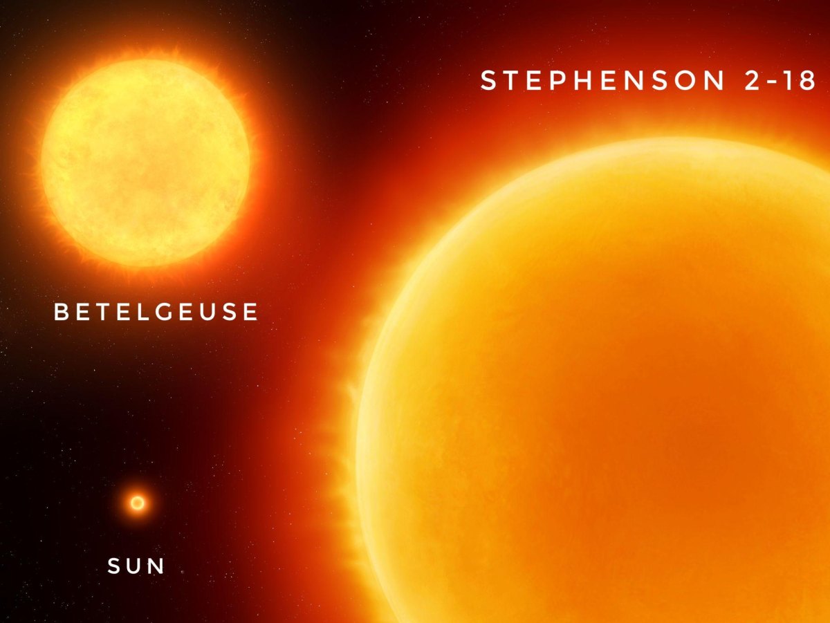 Stephenson 2-18 giant star