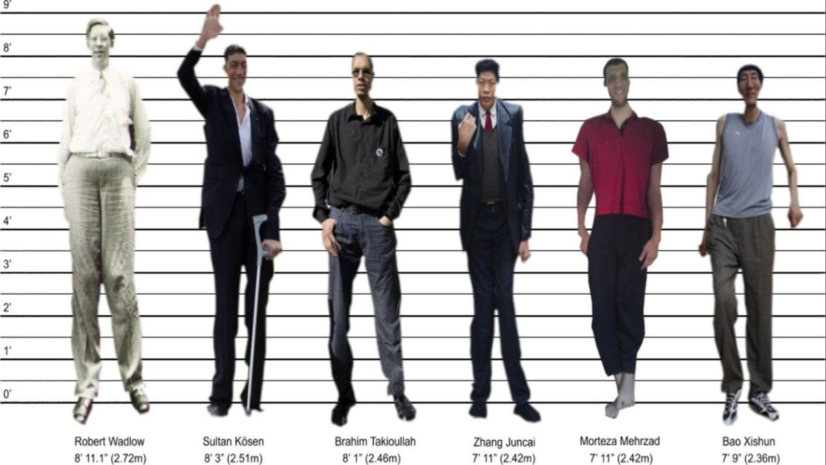 Tallest famous people height chart