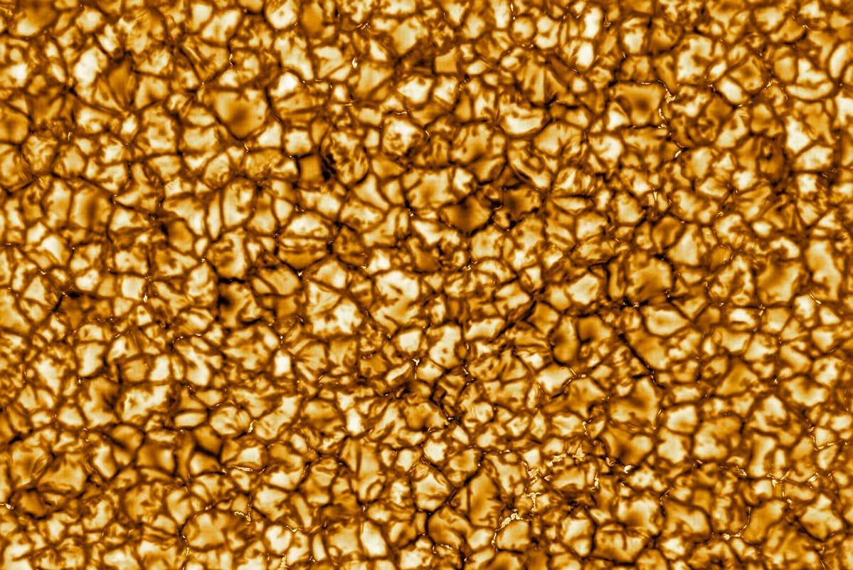 Stars in Size Comparison From the Sun to Giants