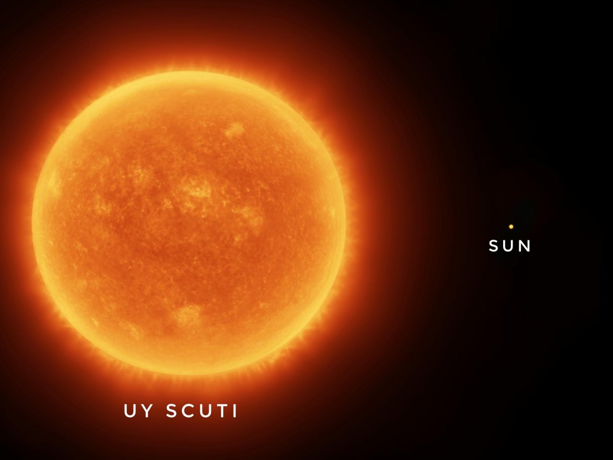 UY Scuti red supergiant