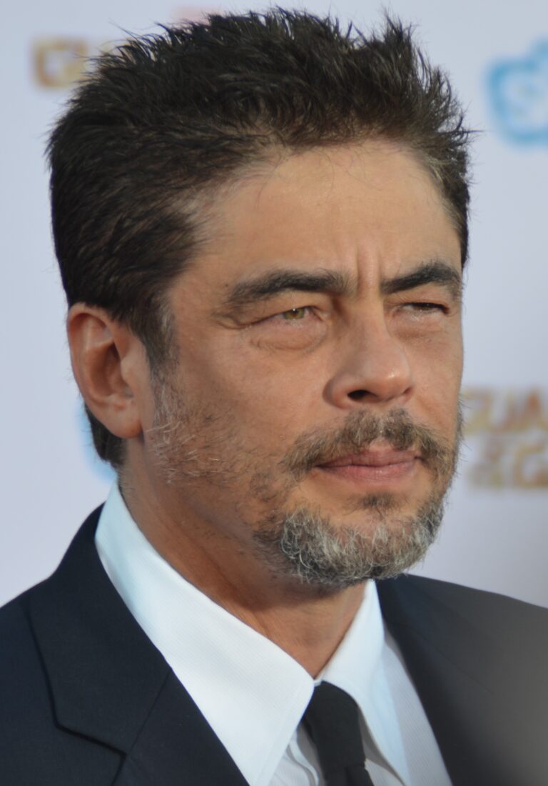 Benicio Del Toro: His Career, Achievements, and Net Worth