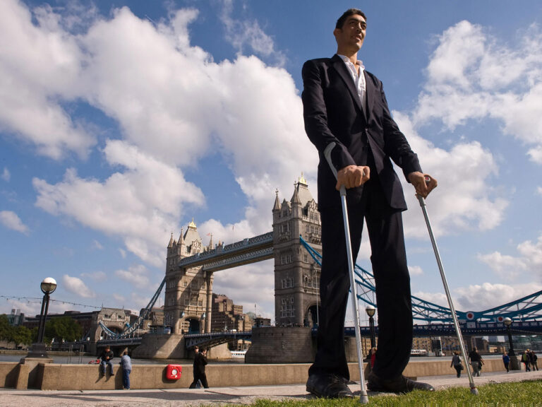 Tallest Person in the World: Record Height and Fascinating Facts